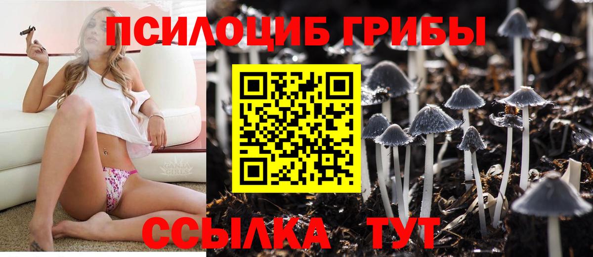 Псилоцибиновые грибы мухоморы Кимовск