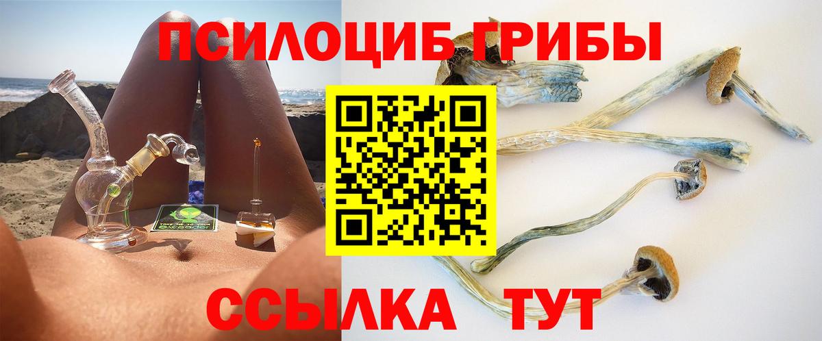 где найти наркотики  Псилоцибиновые грибы прущие грибы  Вход с VPN  Кимовск 